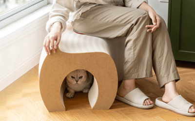 Mobiliario Adaptado para Gatos: Estilo Único Para Tu Hogar