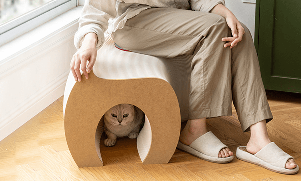 Mobiliario Adaptado para Gatos: Estilo Único Para Tu Hogar