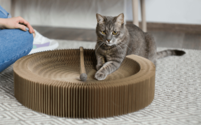 La Guía Definitiva para Elegir Rascador para Gatos